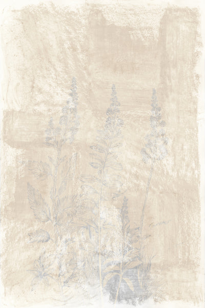 poster-print-woodsia-2