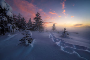 aluminium-print-winter-steps-x