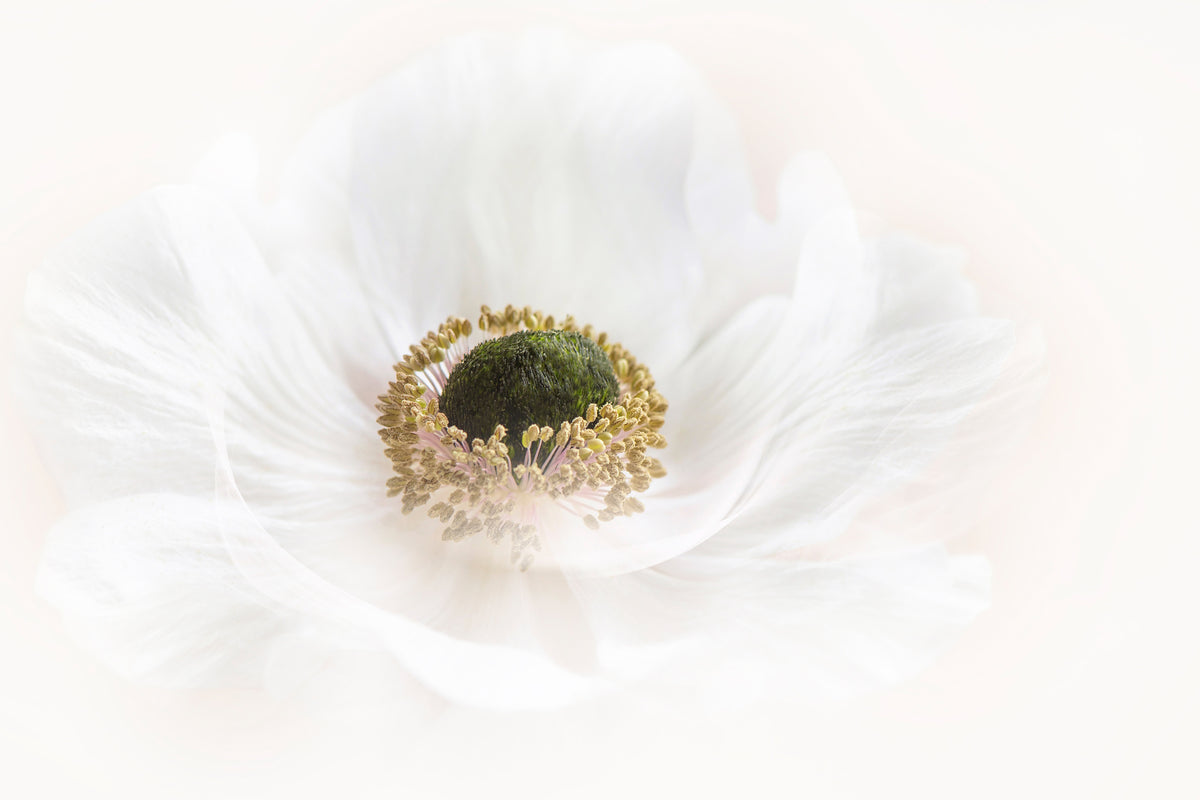 acrylic-print-pure-x