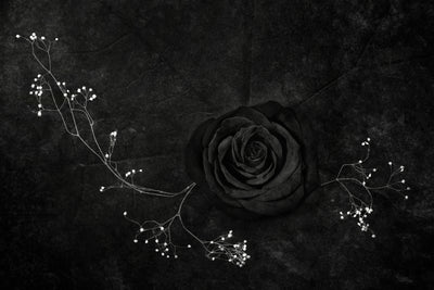 poster-print-rose-noire
