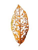 framedposter-print-leaf-skeleton-essence