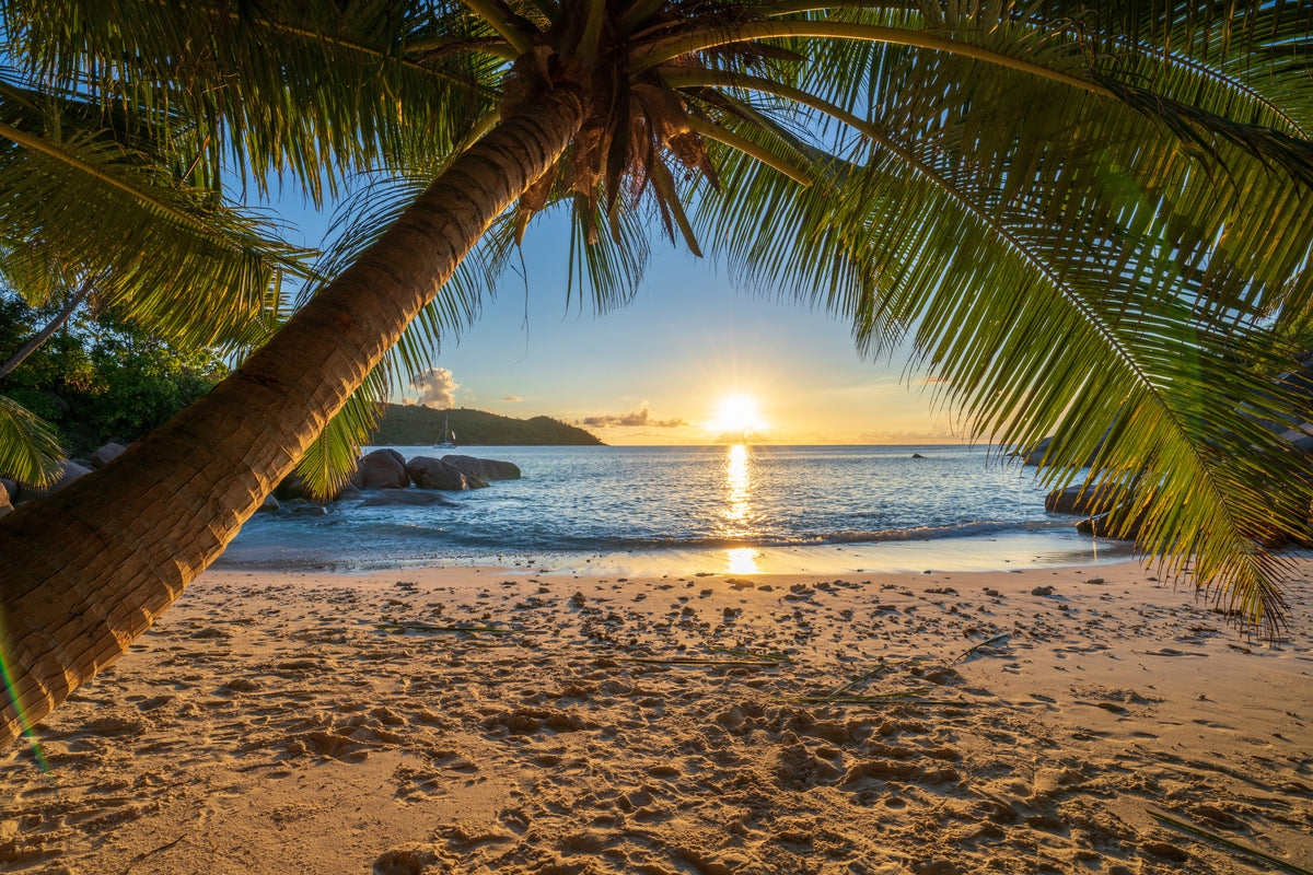 aluminium-print-tropical-sand-and-sea