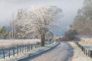 3-piece-acrylic-print-a-frosty-morning