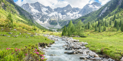 poster-print-between-glacier-and-mountain-stream