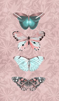acrylic-print-butterfly-dreams