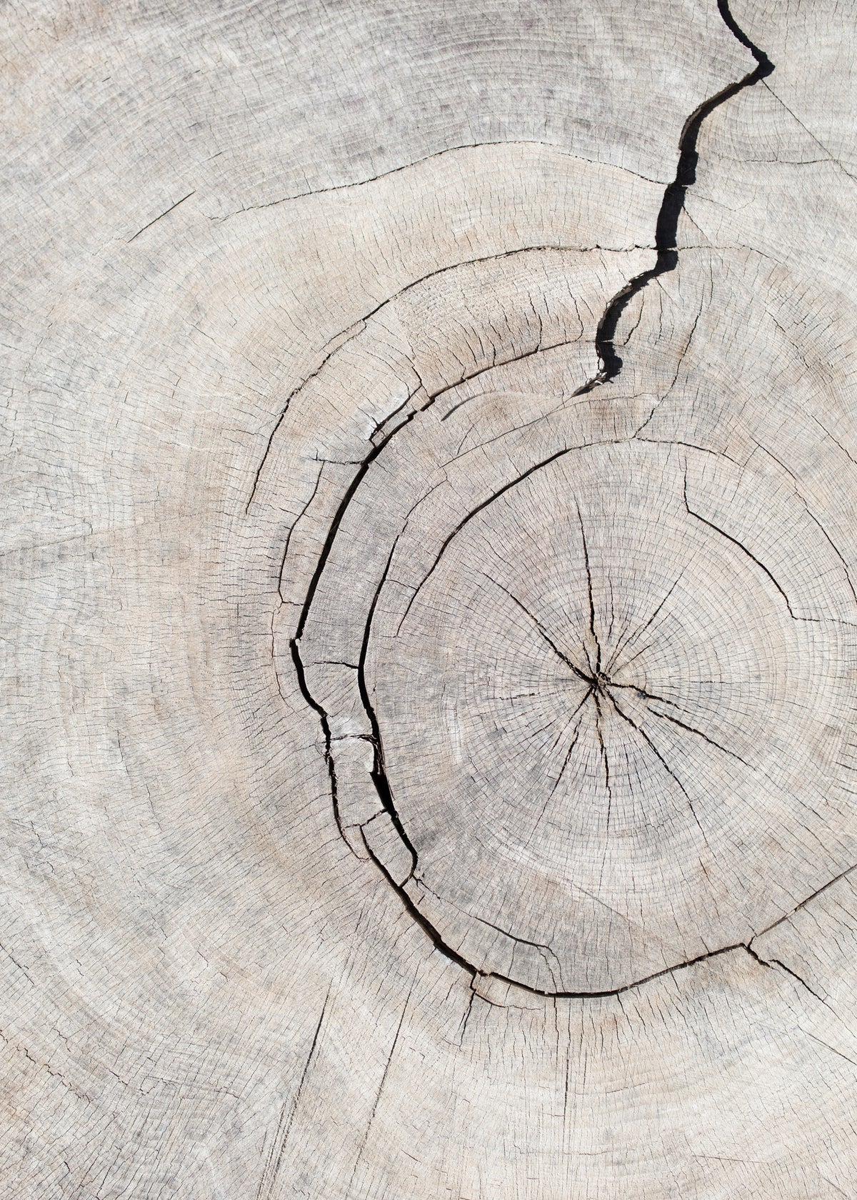 acrylic-print-pattern-wood-2