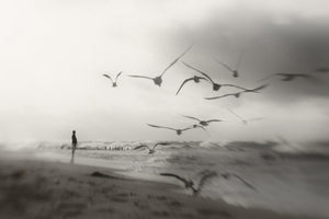 acrylic-print-quiet-dreams-x