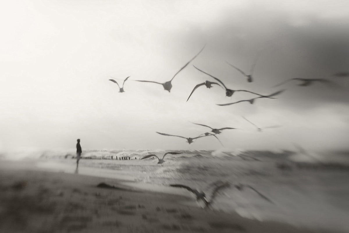 acrylic-print-quiet-dreams-x
