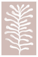 poster-print-white-coral-form
