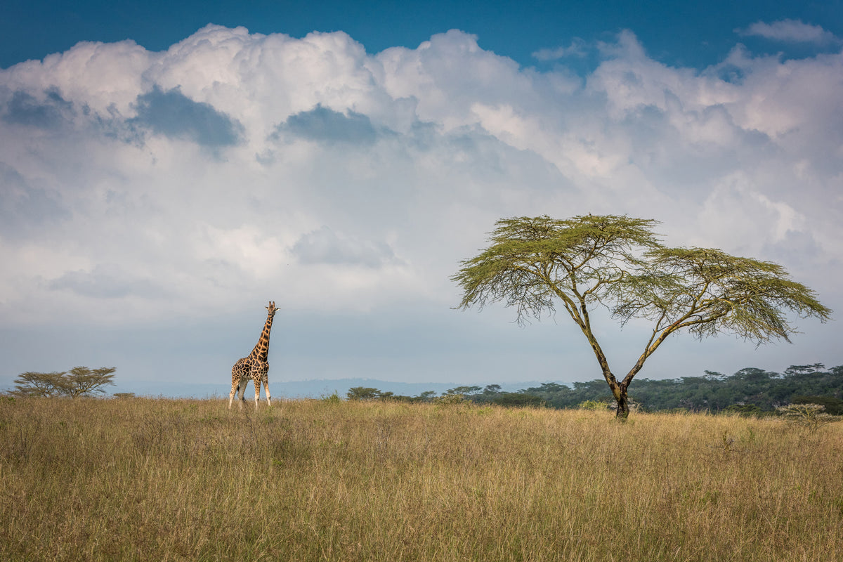 framedcanvas-print-east-africa