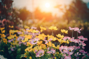 3-piece-aluminium-print-the-flowers