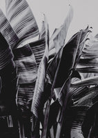 canvas-print-large-tropical-leaves