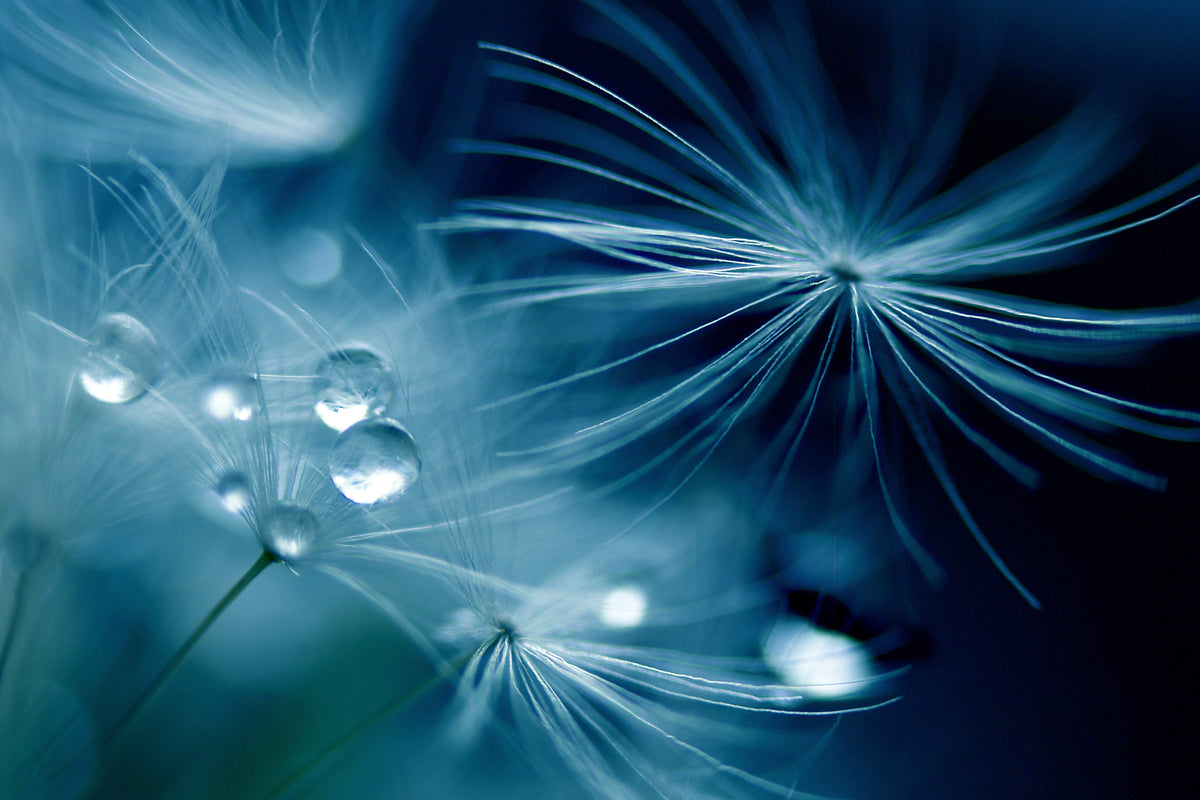 acrylic-print-soft-touch-x