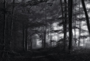 framedposter-print-solitary