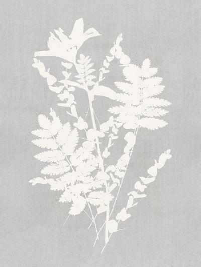 poster-print-botanical-illustration-5