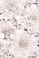 framedposter-print-chrysanthemum-no-07