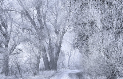 poster-print-deep-winter
