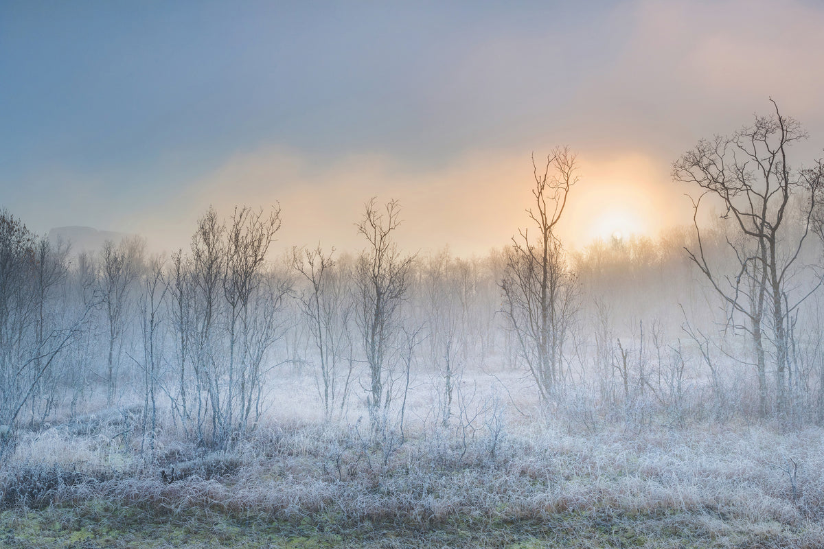 framedcanvas-print-a-touch-of-winter