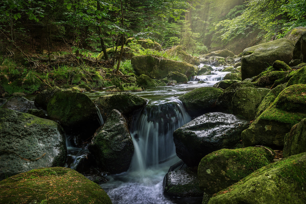 framedcanvas-print-calming-view