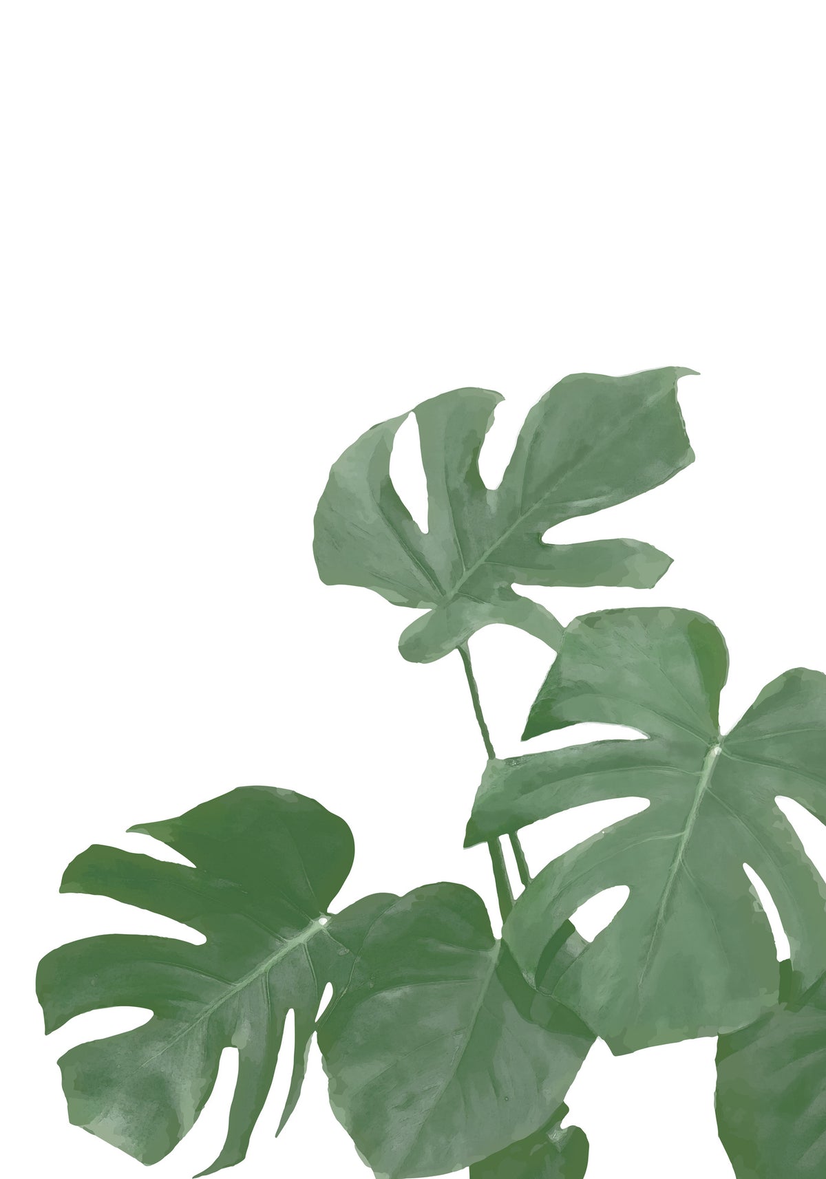 acrylic-print-monstera-aqua-04