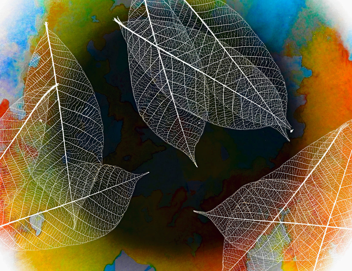acrylic-print-abstractions-in-nature