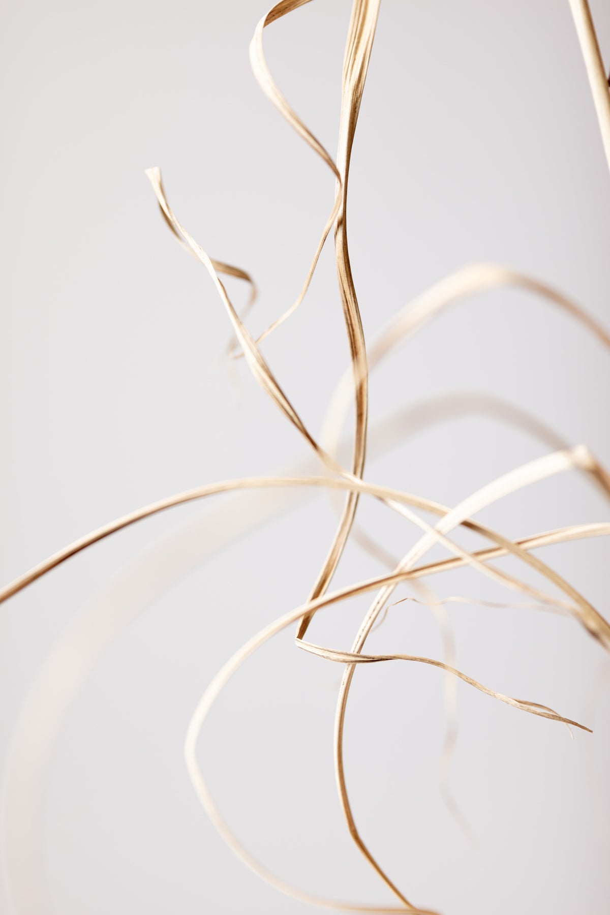 canvas-print-dried-grass-grey-02