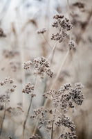 canvas-print-unknown-8