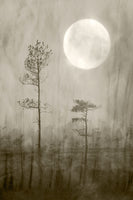 framedposter-print-moonlight-moor