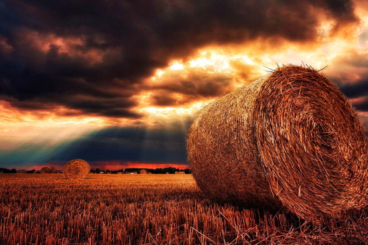3-piece-canvas-print-mystic-landscape