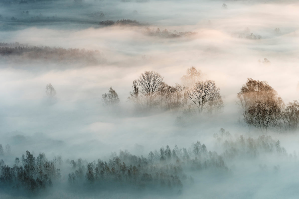 3-piece-canvas-print-winter-fog