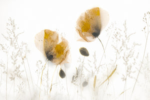 3-piece-canvas-print-subtle