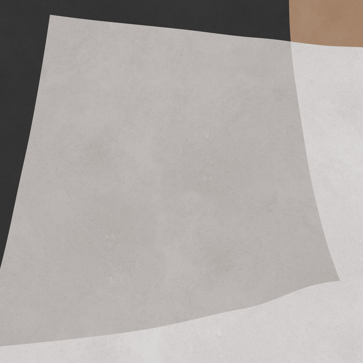 canvas-print-curved-neutral-paths