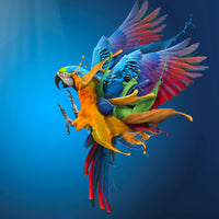 4-piece-aluminium-print-flying-colours