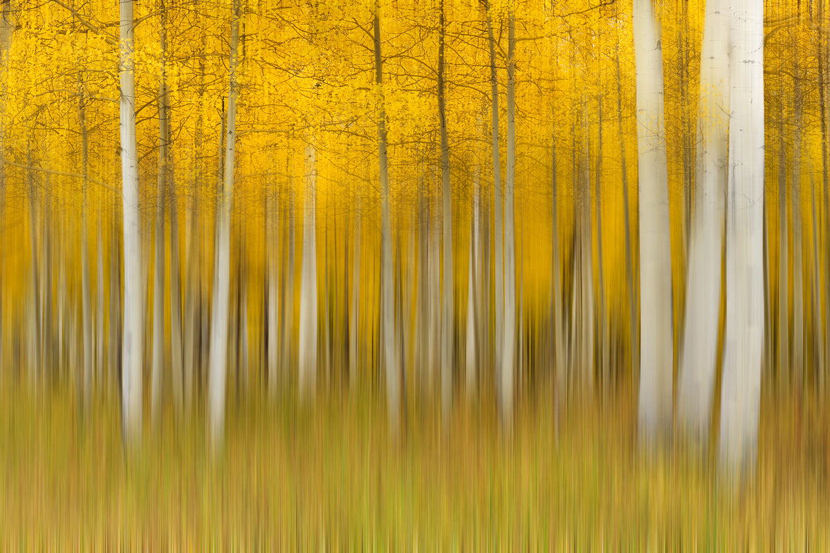3-piece-canvas-print-autumn-dream-ii