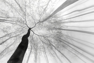 poster-print-after-winter-sleep