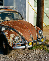 canvas-print-california-bug