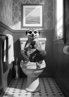 poster-print-bathroom-meerkat