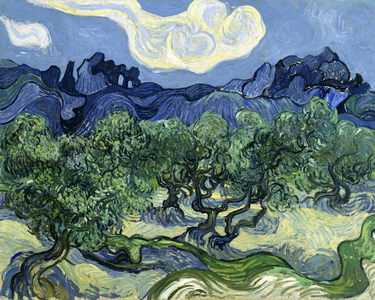 acrylic-print-vincent-van-goghs-olive-trees-with-the-alpilles-in-the-background-1889