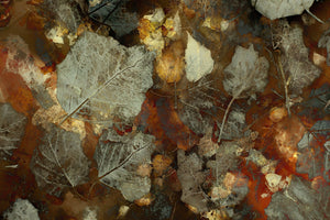 3-piece-acrylic-print-carpet-of-leaves-2