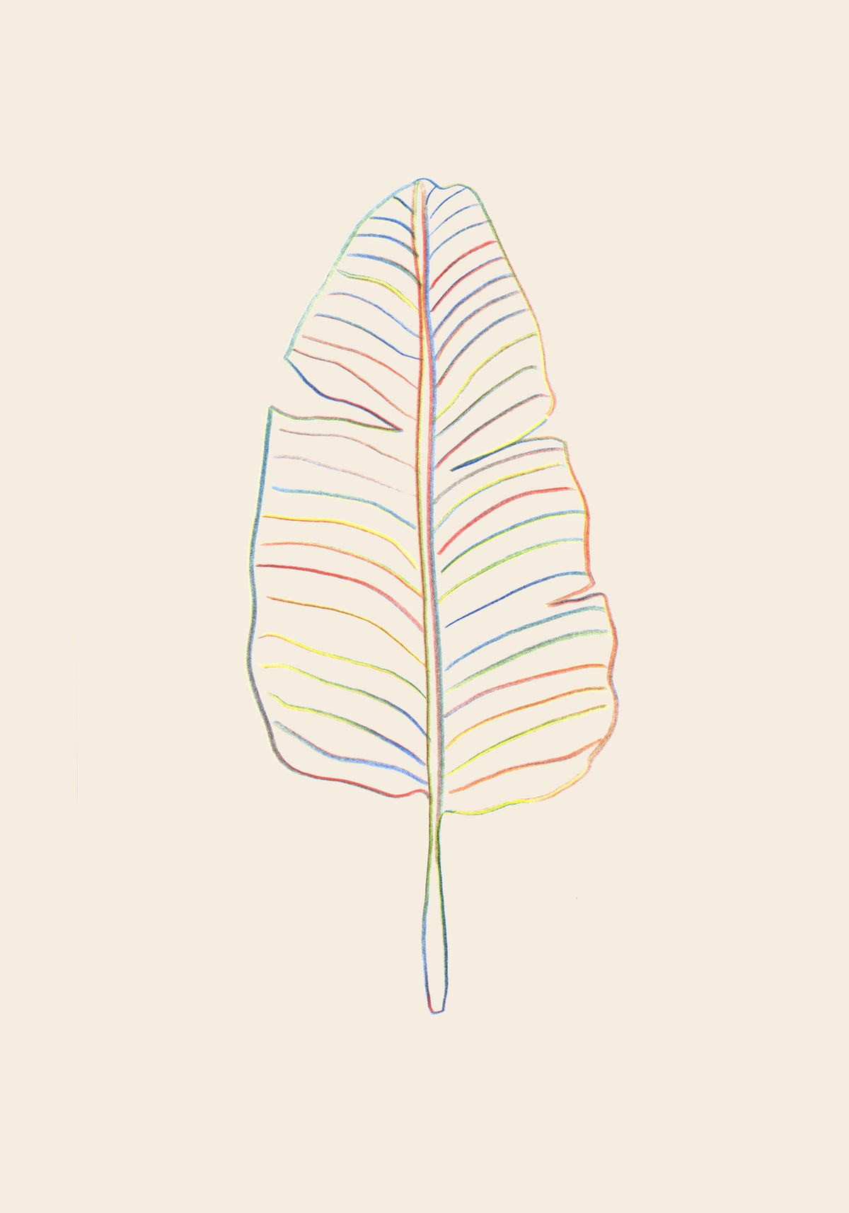 canvas-print-banana-rainbow-leaf