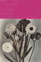 canvas-print-vintage-flowers-no10