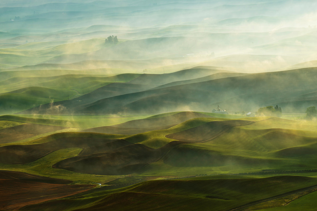 framedposter-print-golden-morningpalouse-x