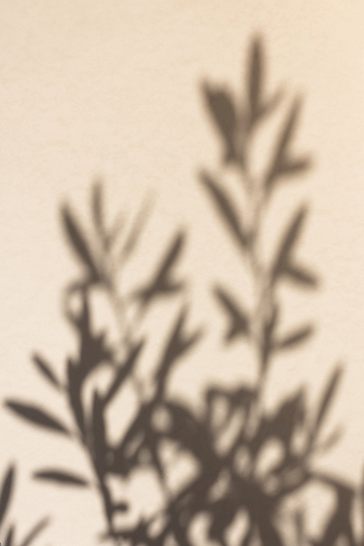 acrylic-print-summer-shadows-6