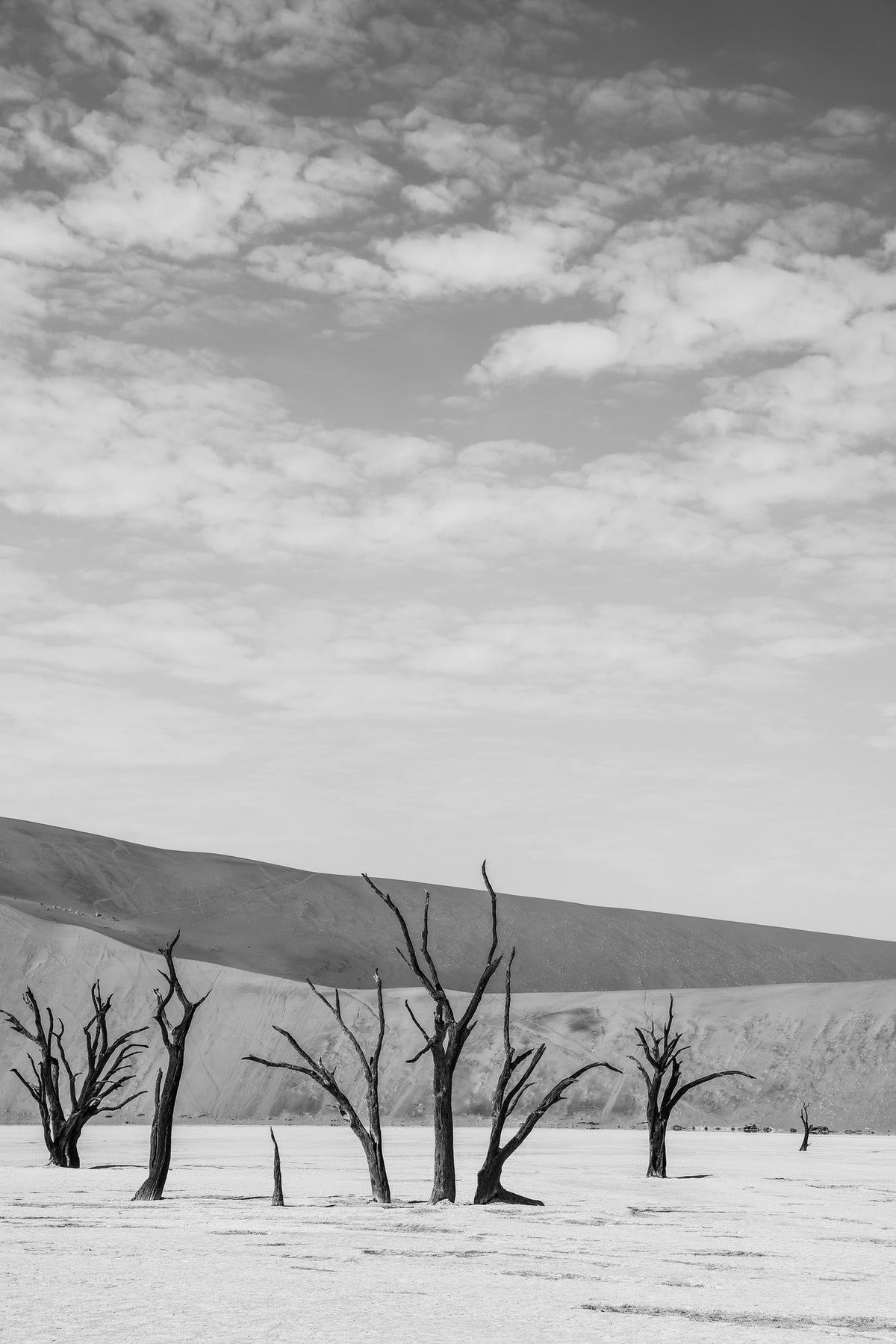 aluminium-print-black-and-white-desert-landscape