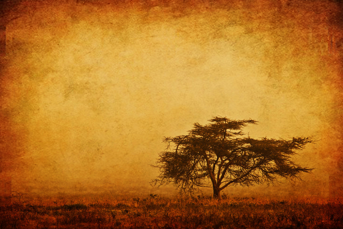 aluminium-print-sunset-mood