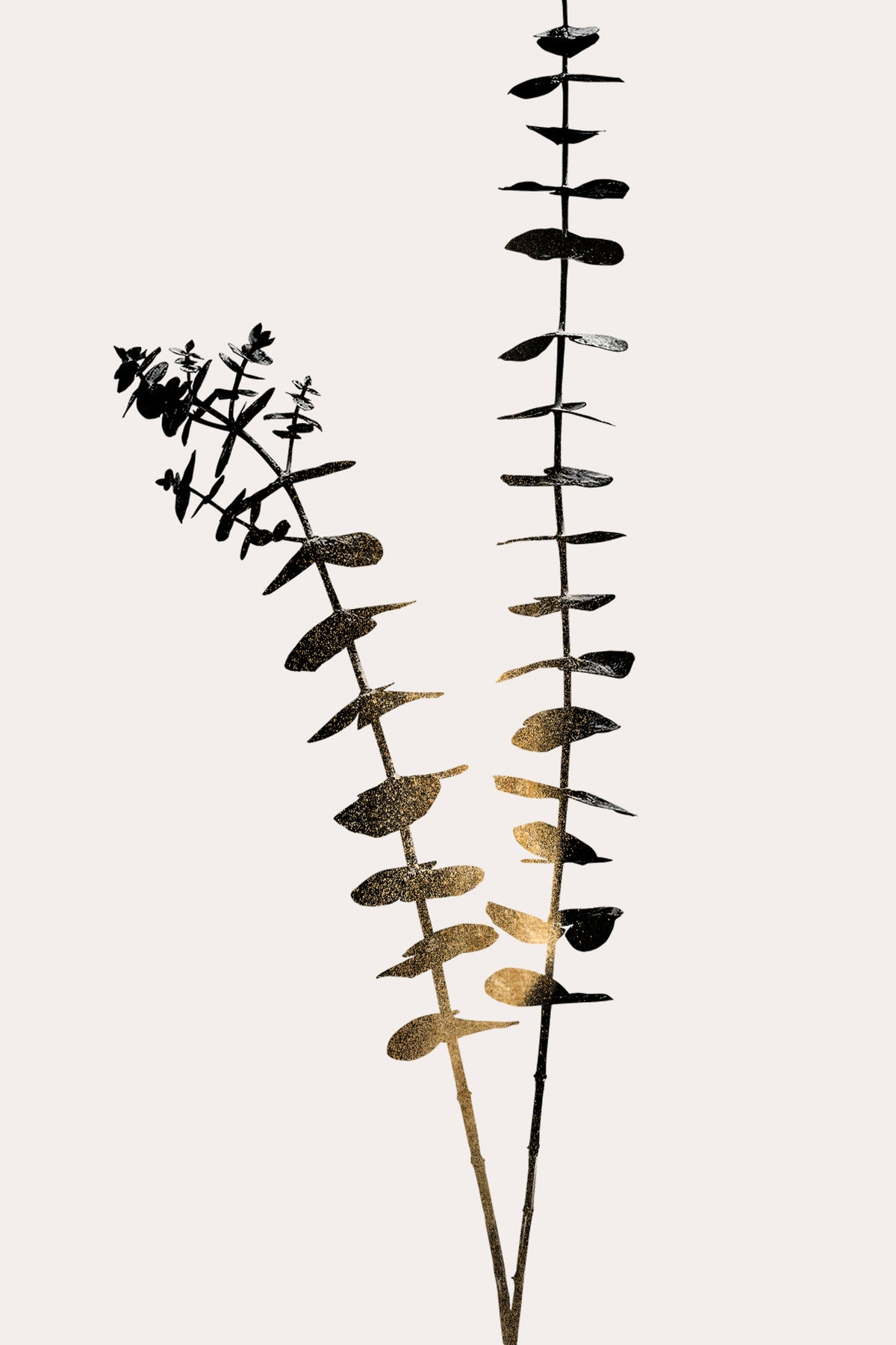 acrylic-print-eucalyptus-dark-gold