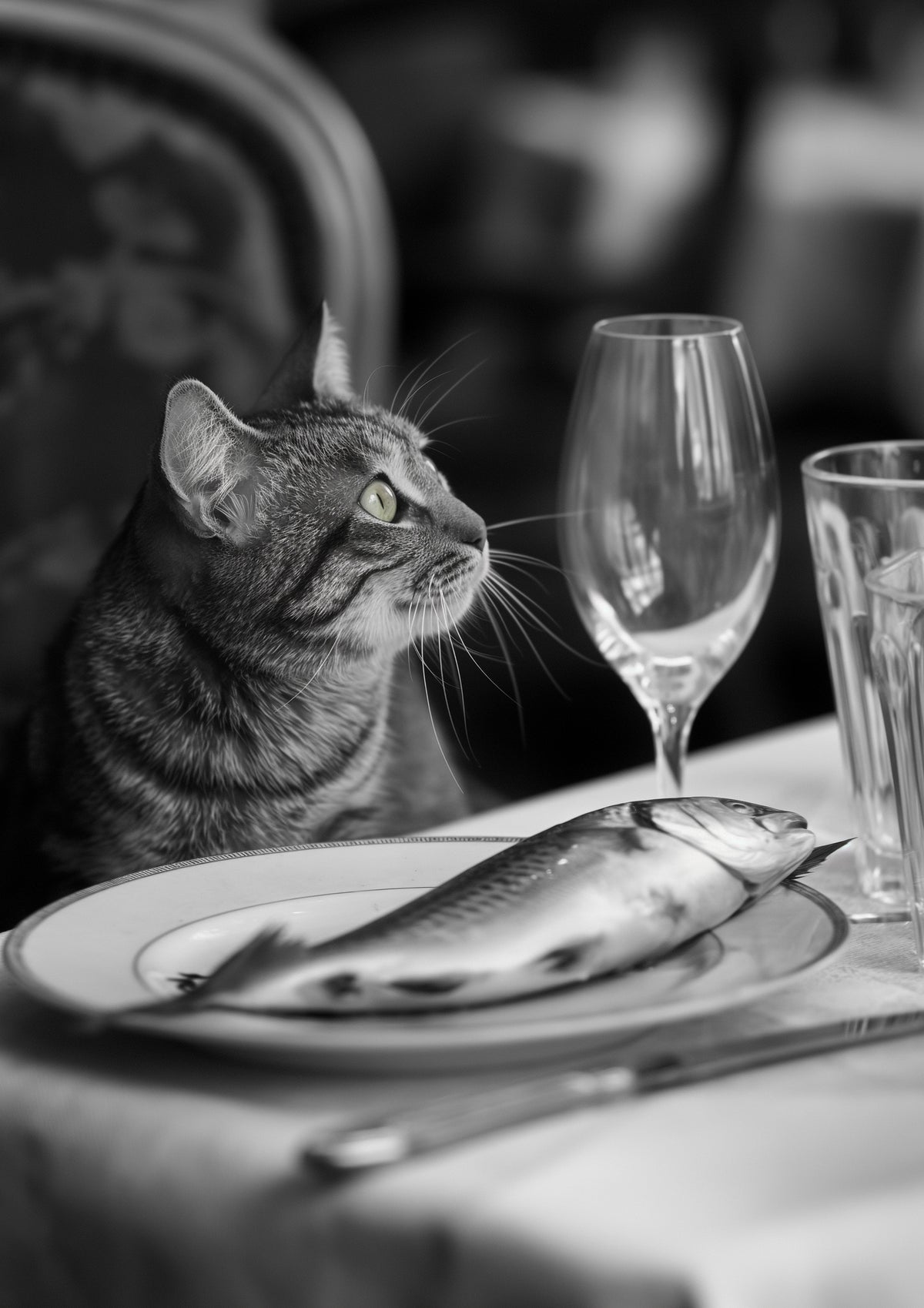 aluminium-print-feline-feast