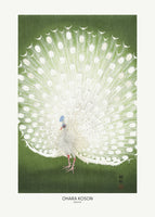 canvas-print-peacock-cropped