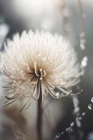 aluminium-print-dew-kissed-blossom