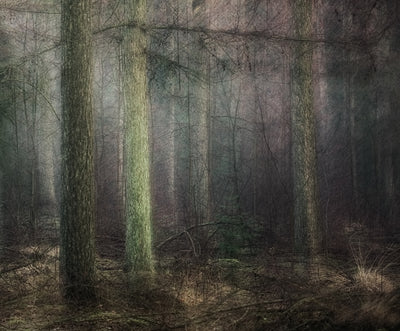poster-print-larch